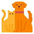 펫